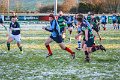 Monaghan Legends V Perennials (5)